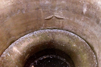 Fish motifs in well shaft